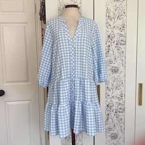Fantastic Fawn Blue Gingham Dress
